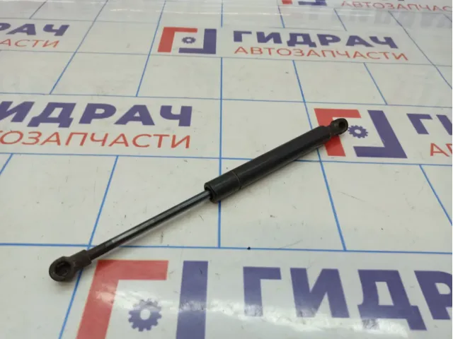 Амортизатор капота BMW X5 (E53) 51238402551