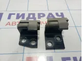 Петли двери задней правой BMW X5 (E53) 41528269846