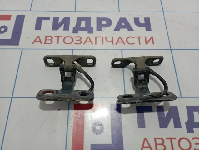 Петли двери багажника верхние BMW X5 (E53) 41627006121