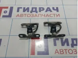 Петли двери багажника верхние BMW X5 (E53) 41627006121