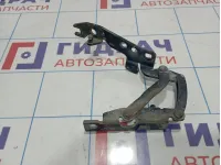 Петля капота правая BMW X5 (E53) 41617006124