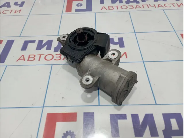 Механизм изменения длины впускного коллектора BMW X5 (E53) 11617505805