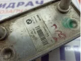 Радиатор маслянный BMW X5 (E53) 75376010