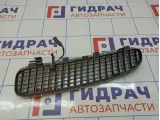 Решетка в капот правая BMW X5 (E53) 51137124824