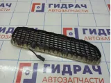 Решетка в капот левая BMW X5 (E53) 51137124823