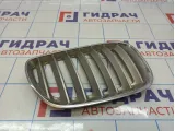 Решетка радиатора правая BMW X5 (E53) 51137124816