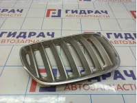 Решетка радиатора правая BMW X5 (E53) 51137124816