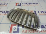 Решетка радиатора правая BMW X5 (E53) 51137124816