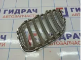 Решетка радиатора правая BMW X5 (E53) 51137124816