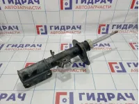 Амортизатор передний левый BMW X5 (E53) 31316764601