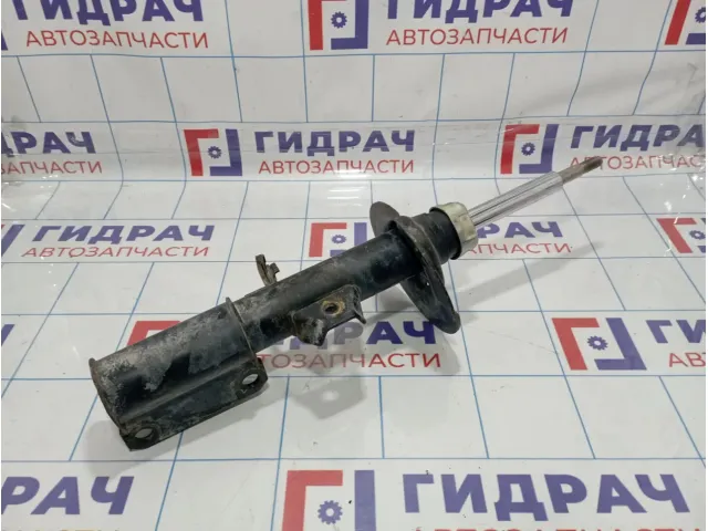 Амортизатор передний левый BMW X5 (E53) 31316764601