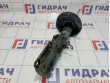 Амортизатор передний левый BMW X5 (E53) 31316764601