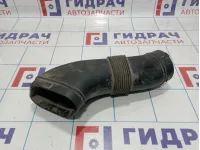 Патрубок воздушного фильтра BMW X5 (E53) 13717529250