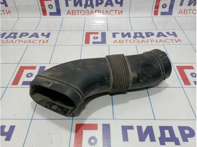 Патрубок воздушного фильтра BMW X5 (E53) 13717529250