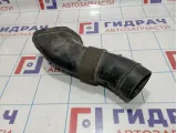 Патрубок воздушного фильтра BMW X5 (E53) 13717529250
