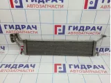 Радиатор масляный BMW X5 (E53) 17217543348