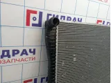 Радиатор основной BMW X5 (E53) 17101439101