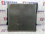 Радиатор основной BMW X5 (E53) 17101439101