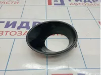 Рамка противотуманной фары правая BMW X5 (E53) 51117129300