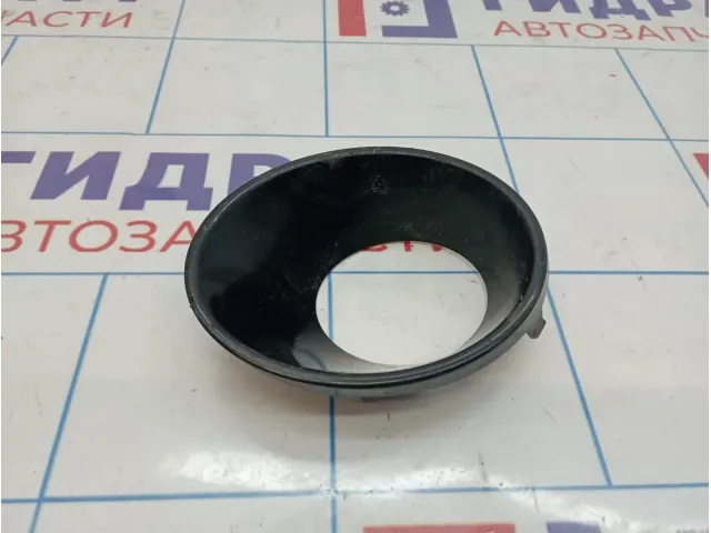 Рамка противотуманной фары правая BMW X5 (E53) 51117129300