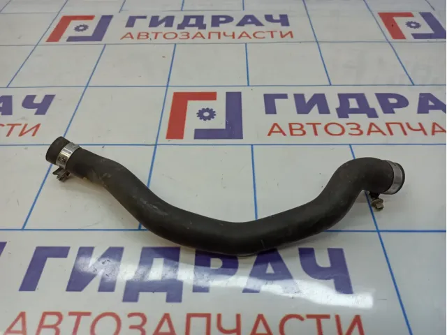 Патрубок системы охлаждения BMW X5 (E53) 64218409063