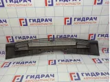 Решетка стеклоочистителя BMW X5 (E53) 64318409048