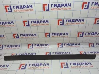 Накладка порога внутренняя левая BMW X5 (E53)