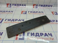 Накладка переднего бампера под номер BMW X5 (E53) 51117111768