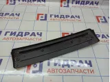 Накладка переднего бампера под номер BMW X5 (E53) 51117111768