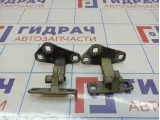 Петли двери багажника BMW X5 (E53)