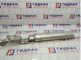 Ресивер воздушный BMW X5 (E53) 37216753863