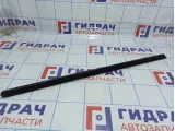 Уплотнитель стекла переднего правого BMW X5 (E70) 51337207218