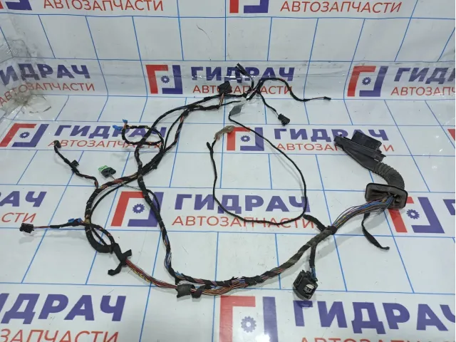 Проводка двери передней левой BMW X5 (E70) 61126977058