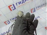 Проводка двери передней левой BMW X5 (E70) 61126977058