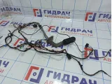 Проводка двери передней левой BMW X5 (E70) 61126977058