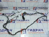 Проводка двери задней левой BMW X5 (E70) 61129116978