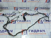 Проводка двери задней левой BMW X5 (E70) 61129116978