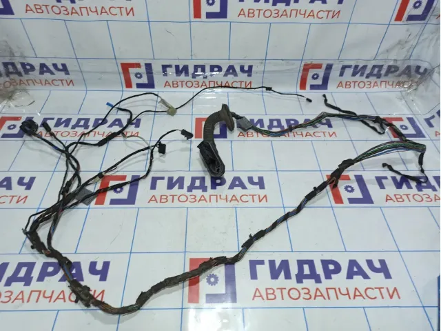 Проводка двери задней левой BMW X5 (E70) 61129116978