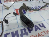 Проводка двери задней левой BMW X5 (E70) 61129116978