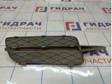 Решетка в бампер левая BMW X5 (E70) 51117159593