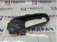Решетка в бампер левая BMW X5 (E70) 51117172450