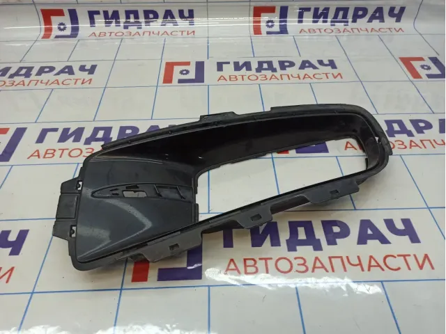 Решетка в бампер левая BMW X5 (E70) 51117172450