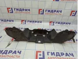 Пыльник моторного отсека BMW X5 (E70) 51717169422