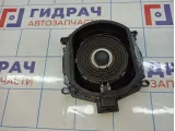 Сабвуфер BMW X5 (E70) 65136971884