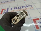 Клапан кондиционера BMW X5 (E70) 64116968202