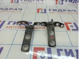 Петли двери багажника BMW X5 (E70)