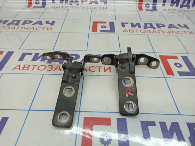 Петли двери багажника BMW X5 (E70)