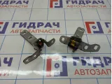 Петли двери багажника BMW X5 (E70)