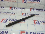 Амортизатор двери багажника BMW X5 (E70) 51247177283