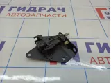 Ручка открывания багажника  BMW X5 (E70) 51247162149
